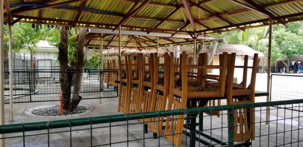 Buenavista Family Inn Tagudin Kültér fotó