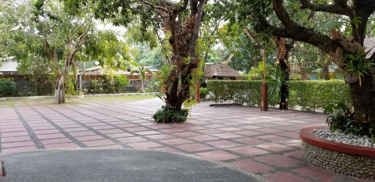 Buenavista Family Inn Tagudin Kültér fotó